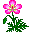 �₿�����̓��ۏЉ�y�[�W��